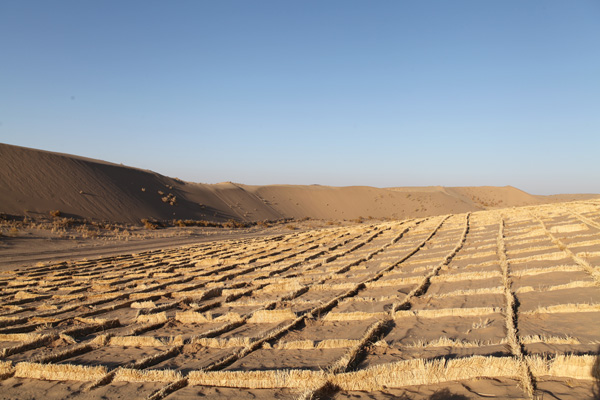 他們，從沙漠中走來……