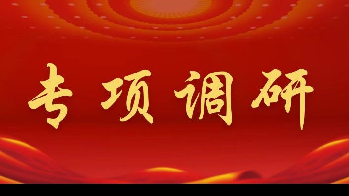 【專項(xiàng)調(diào)研】裝備公司領(lǐng)導(dǎo)班子成員深入蘭峰公司調(diào)研督導(dǎo)年度重點(diǎn)工作推進(jìn)落實(shí)情況